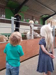 Farmer Palmer's Farm Park